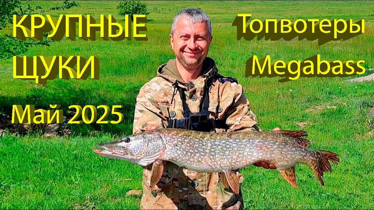 🔥 Воблеры MEGABASS - БОЛЬШИЕ ЩУКИ в ярости! ТРОФЕЙНАЯ РЫБАЛКА на волкер Dog-X и кренкбейт I-Jack 🔥