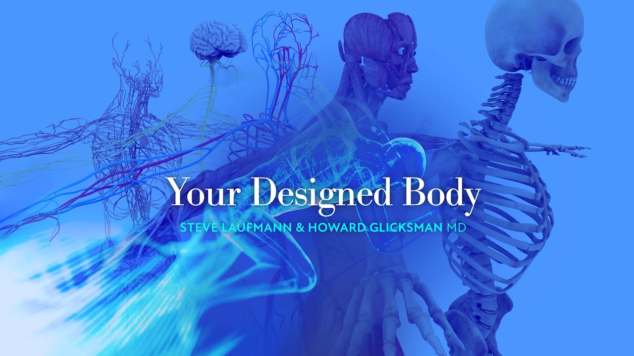 The Human Body's Intelligent Design