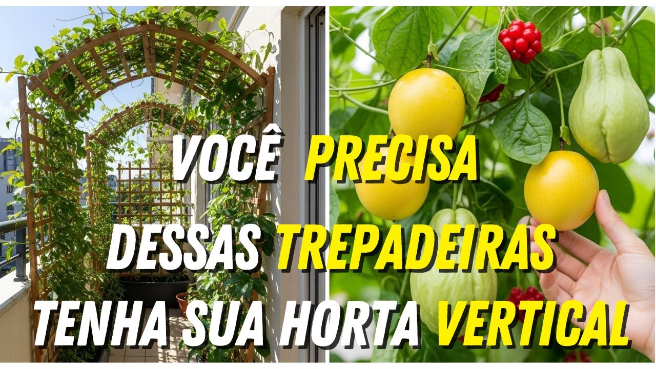 10 MELHORES Trepadeiras Perenes Comest&iacute;veis para Jardins Pequenos