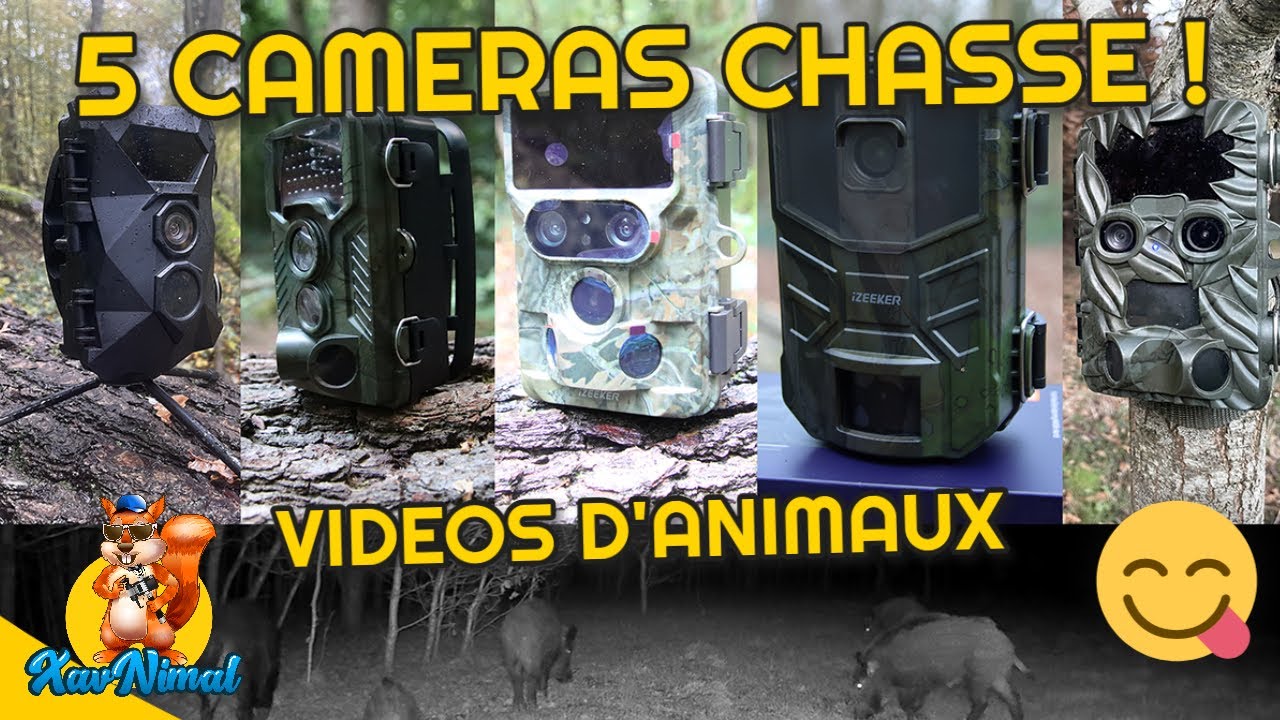 CAMéRA CHASSE et observation des animaux de la faune sauvage !