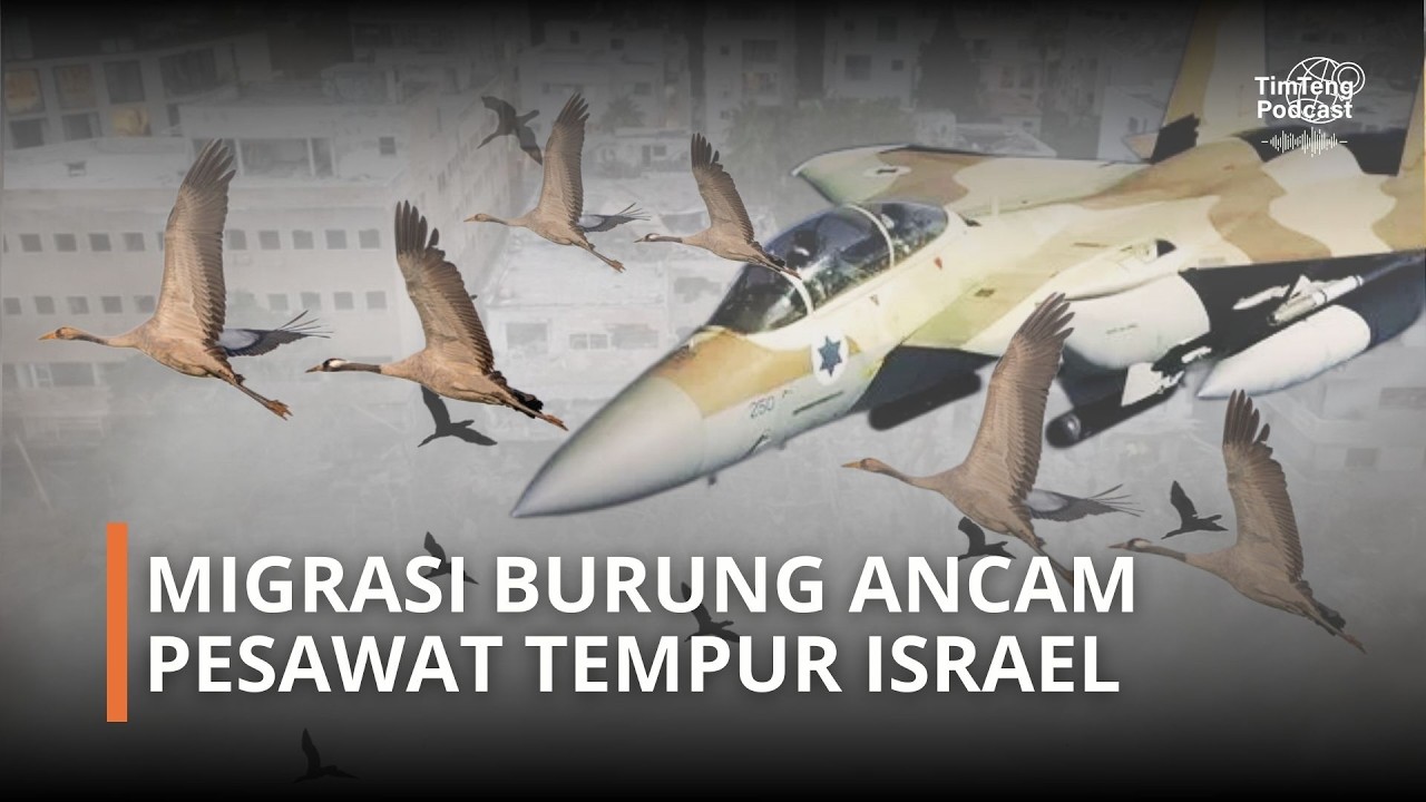 🔴(LIVE) MIGRASI BURUNG ANCAM PESAWAT TEMPUR ISRAEL