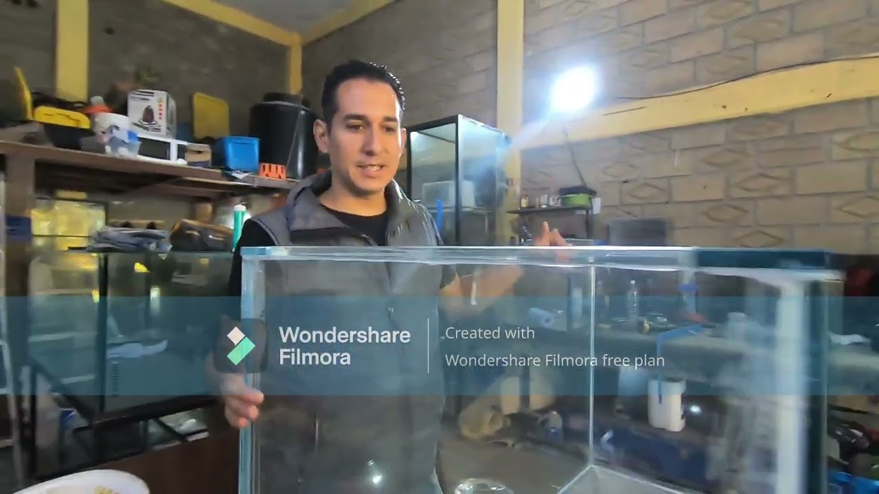 TIPS PARA IDENTIFICAR UN ACUARIO MAL HECHO