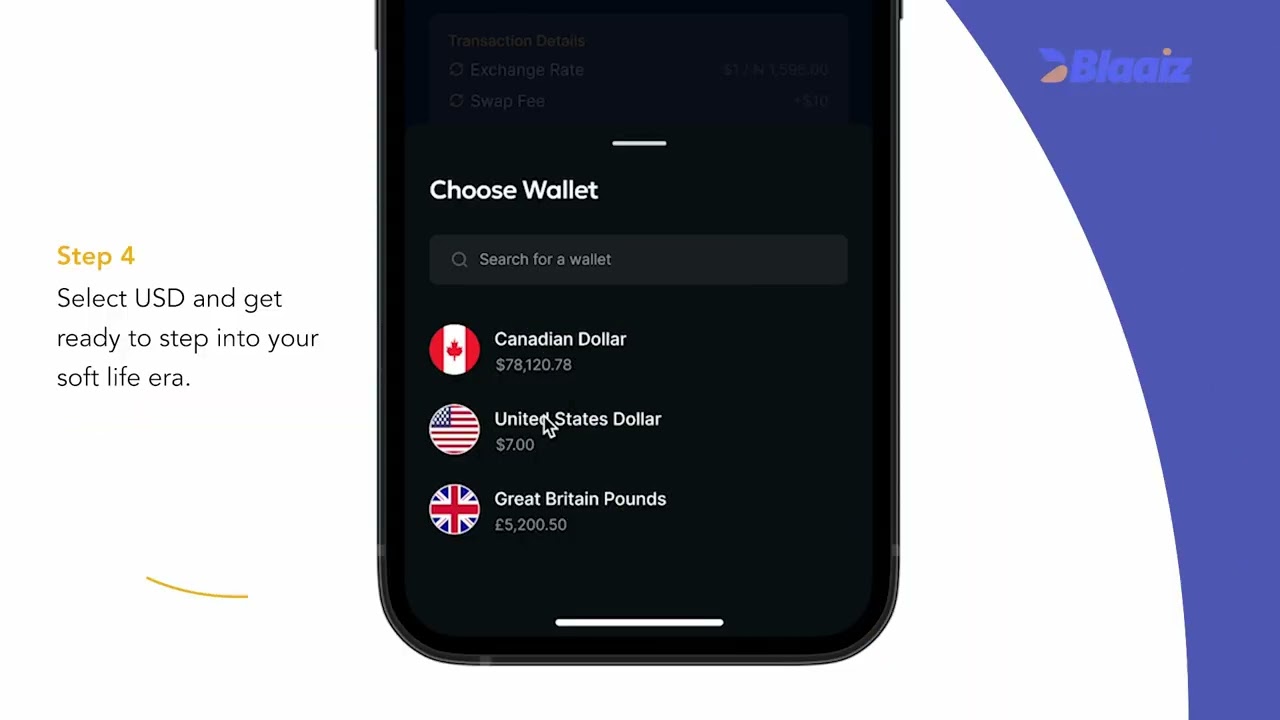 Convert Naira to Dollar on Blaaiz!