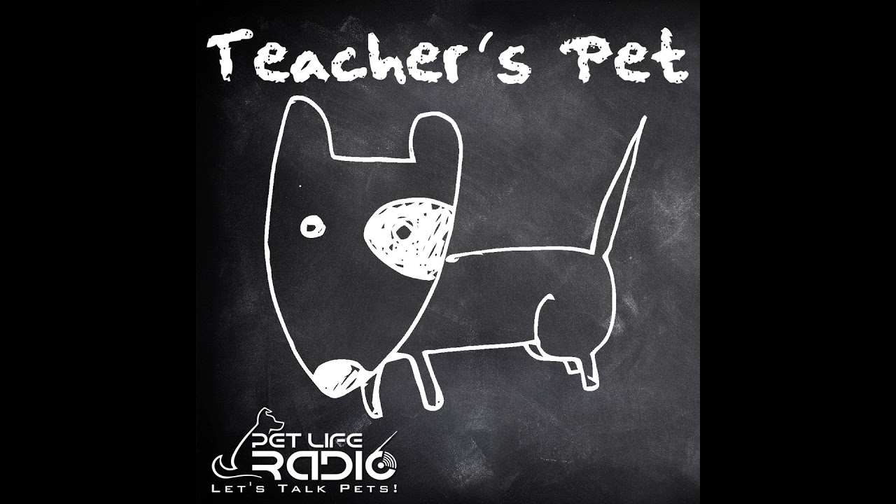 PetLifeRadio.com - Teacher's Pet - Episode 59   Living with Kids and Dogs... Without Losing Your ...