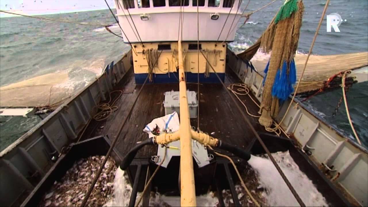 Visserman 2011 - aflevering 1