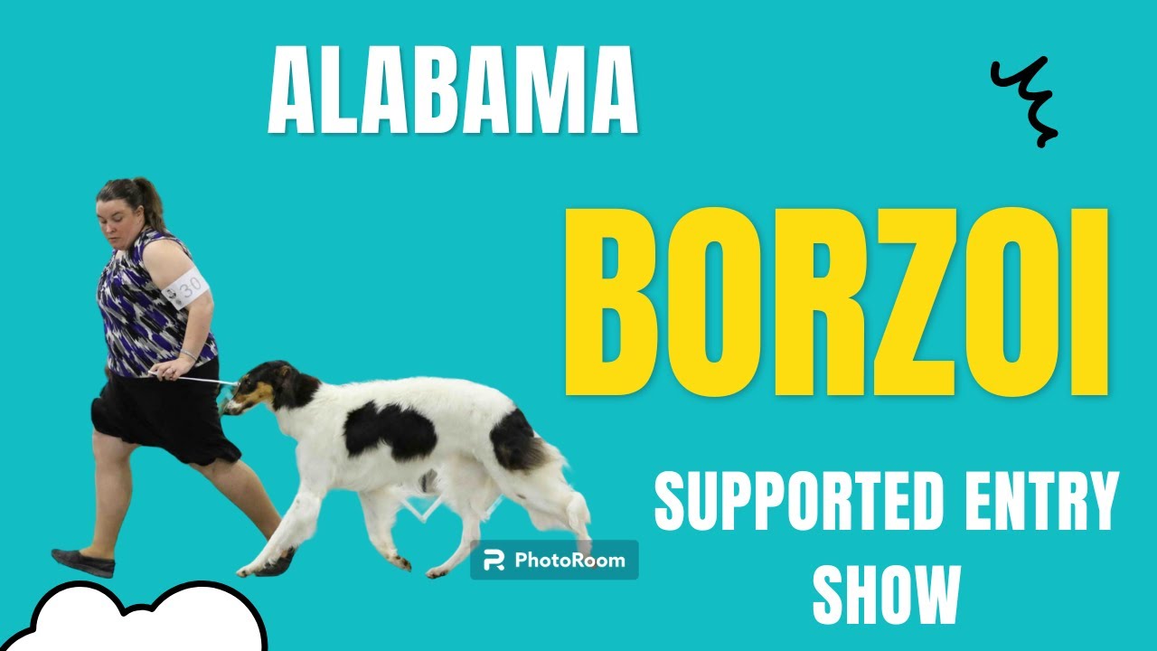 Borzoi Club of America Trophy Supported Entry-Alabama (April 9, 2023)
