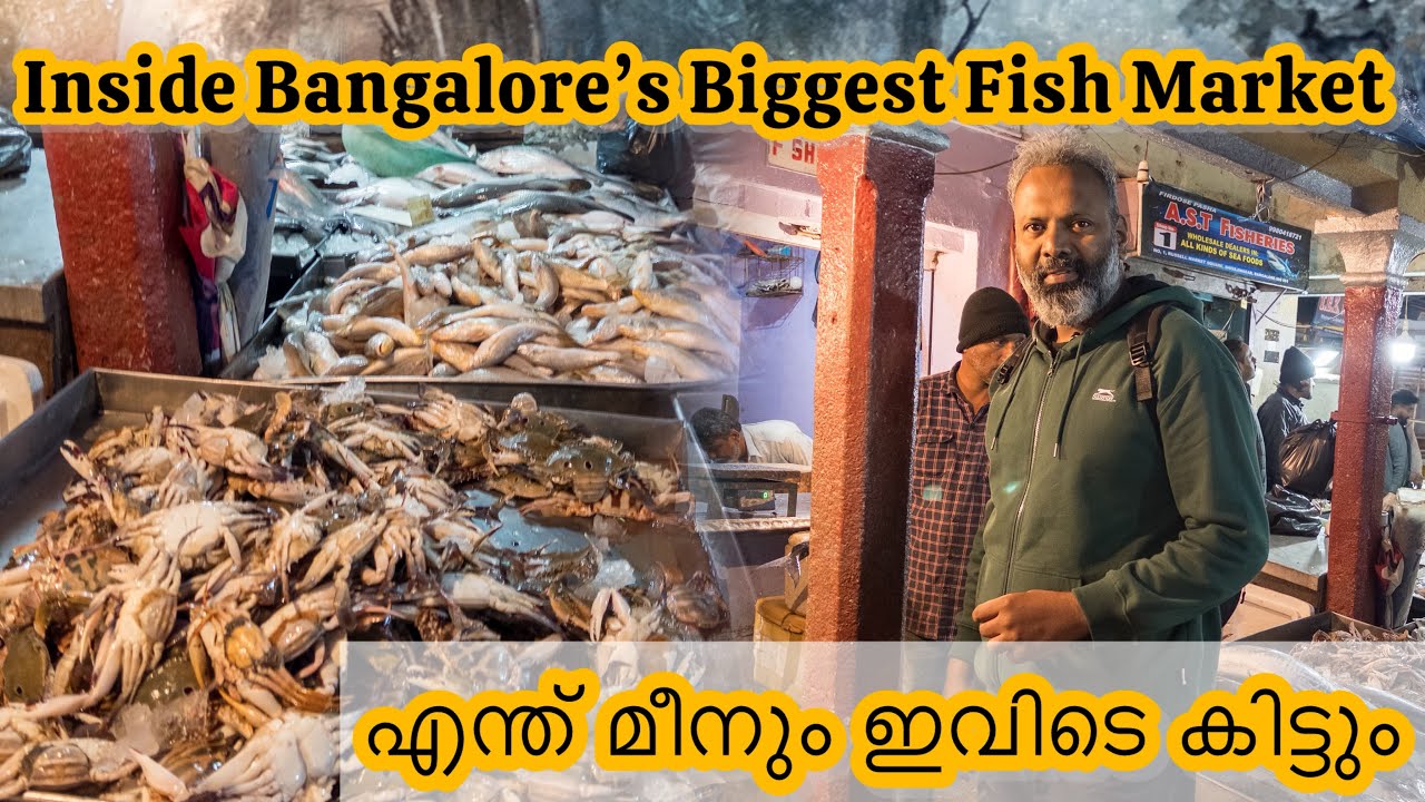 Inside Bangalore’s Biggest Fish Market |  ശിവാജി നഗർ മീൻ ചന്ത #food #fish #market #cooking 