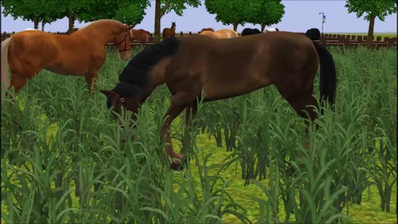 Sims 3 Pferdepension Lucky Stables 1