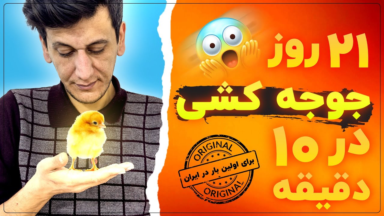 21 روز جوجه کشی قدم به قدم | برای اولین بار در ایران | Step-By-Step by Hatching Eggs