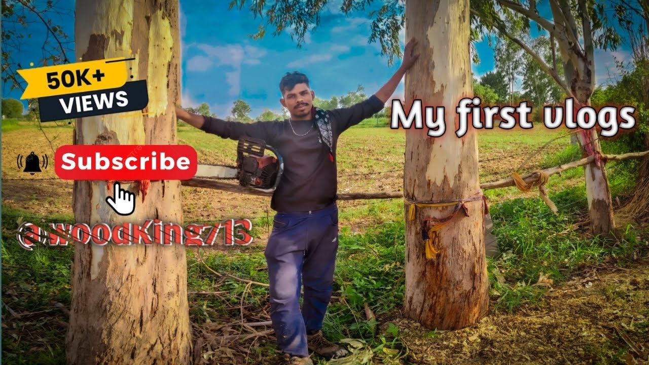 Nilgiri katate hue video...💞💕🩼. wood working..