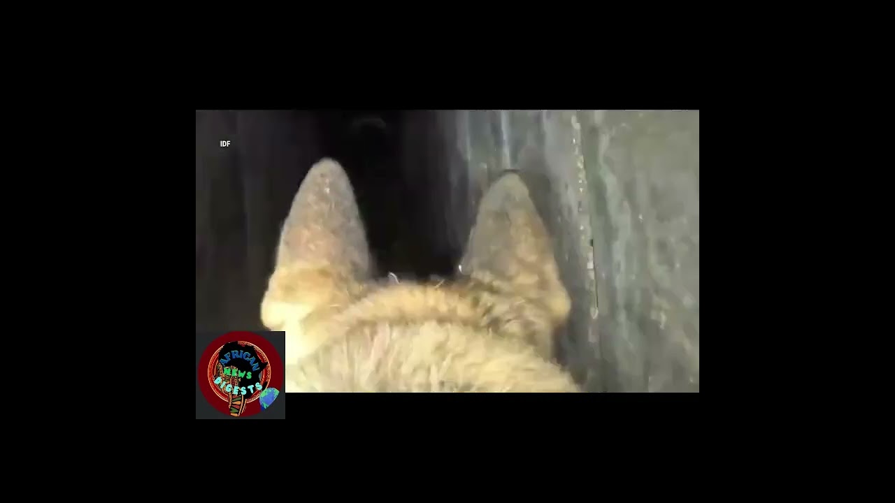 IDF Releases Footage From Underground Tunnel Operation In Gaza