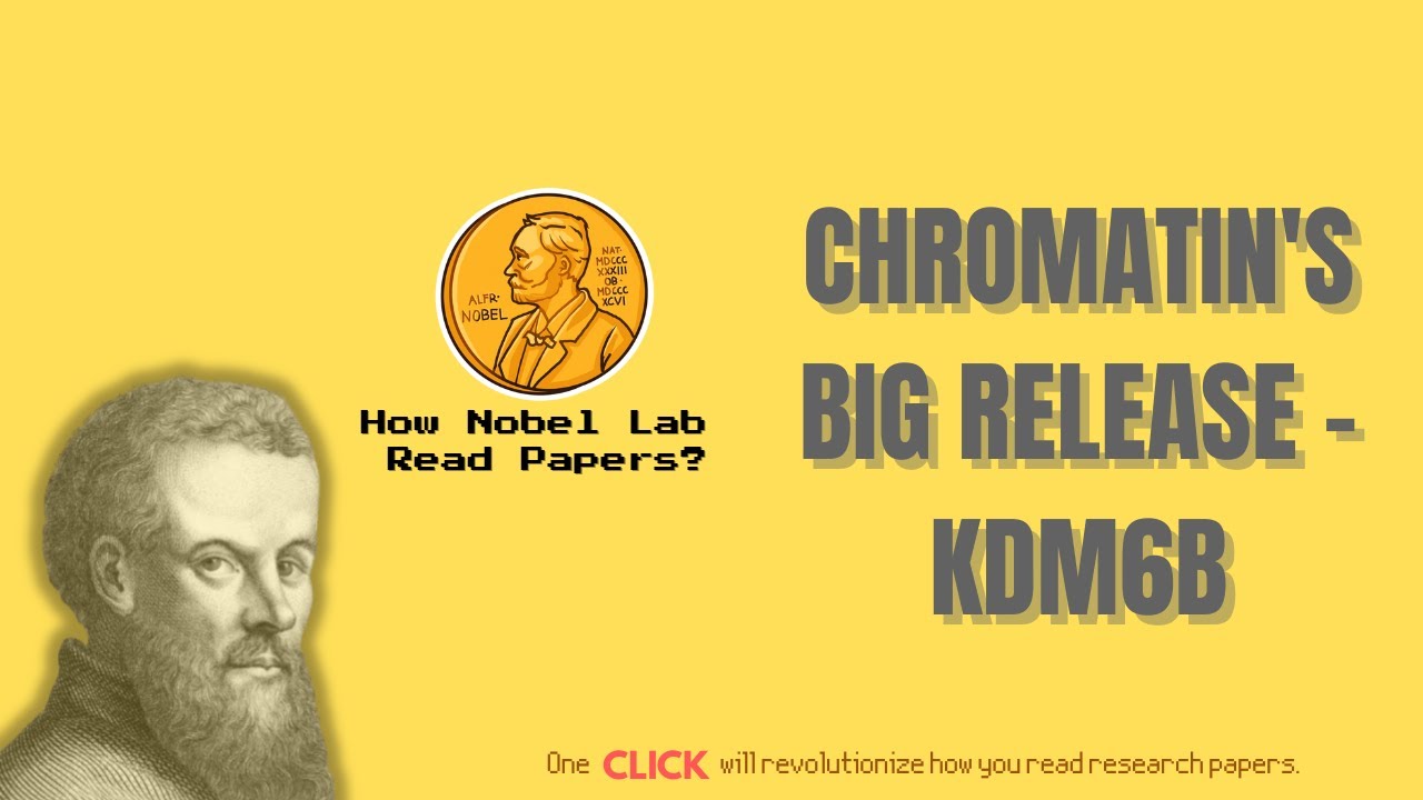 [Cell, 2025] DNA's Hidden Switch: How KDM6B Unlocks Genes