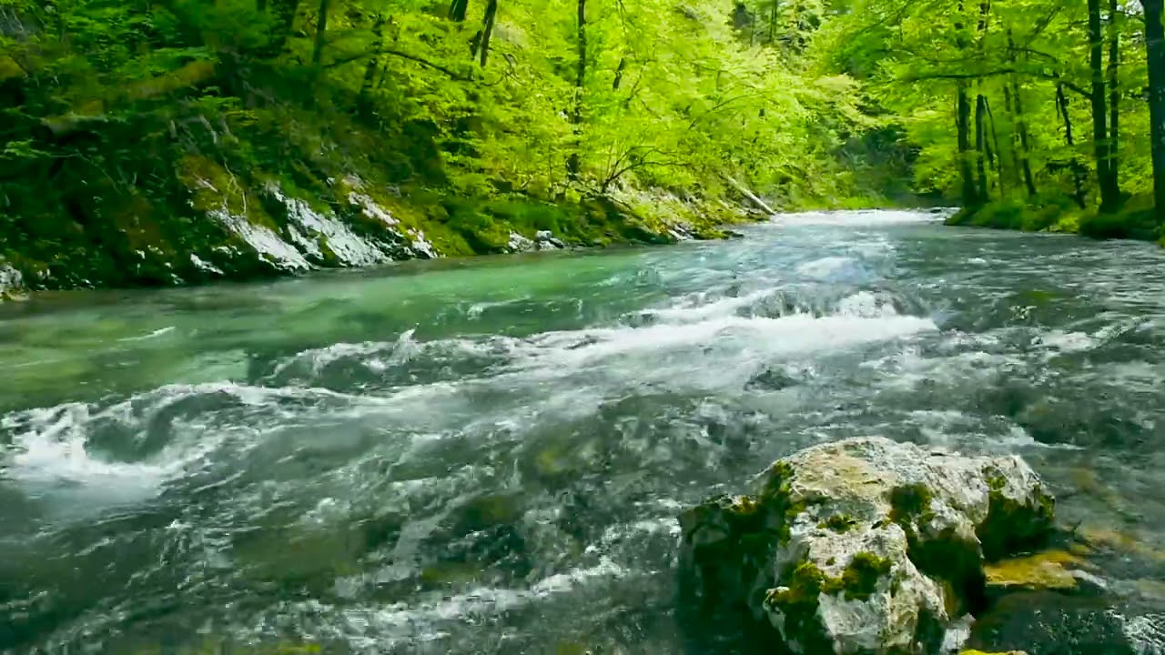 Gentle Sound of Mountain River Flowing in Green Forest. Nature Sounds for Sleep, Study, Meditation.