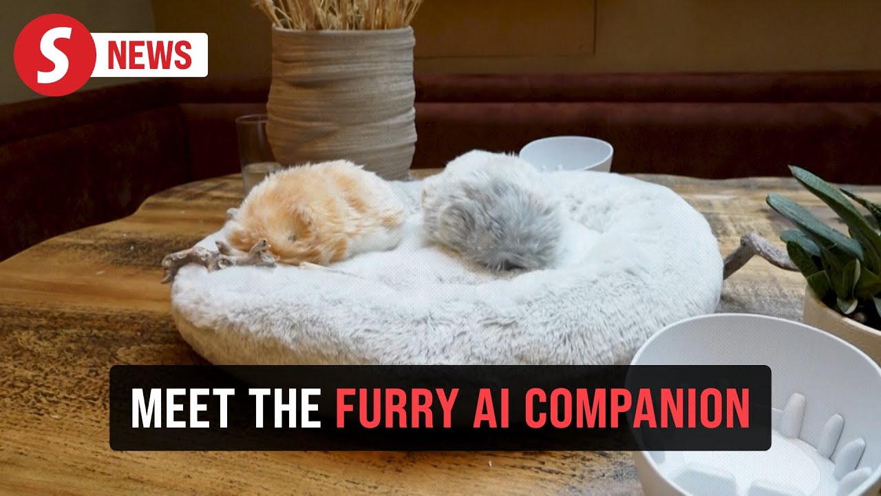 Moflin: Furry AI companion with 4 million personalities