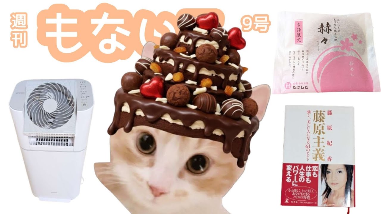 【夜勤明け】部屋干し臭をゼロに。猫も喜ぶ1Kの湿気対策に除湿乾燥機アイリスオーヤマ