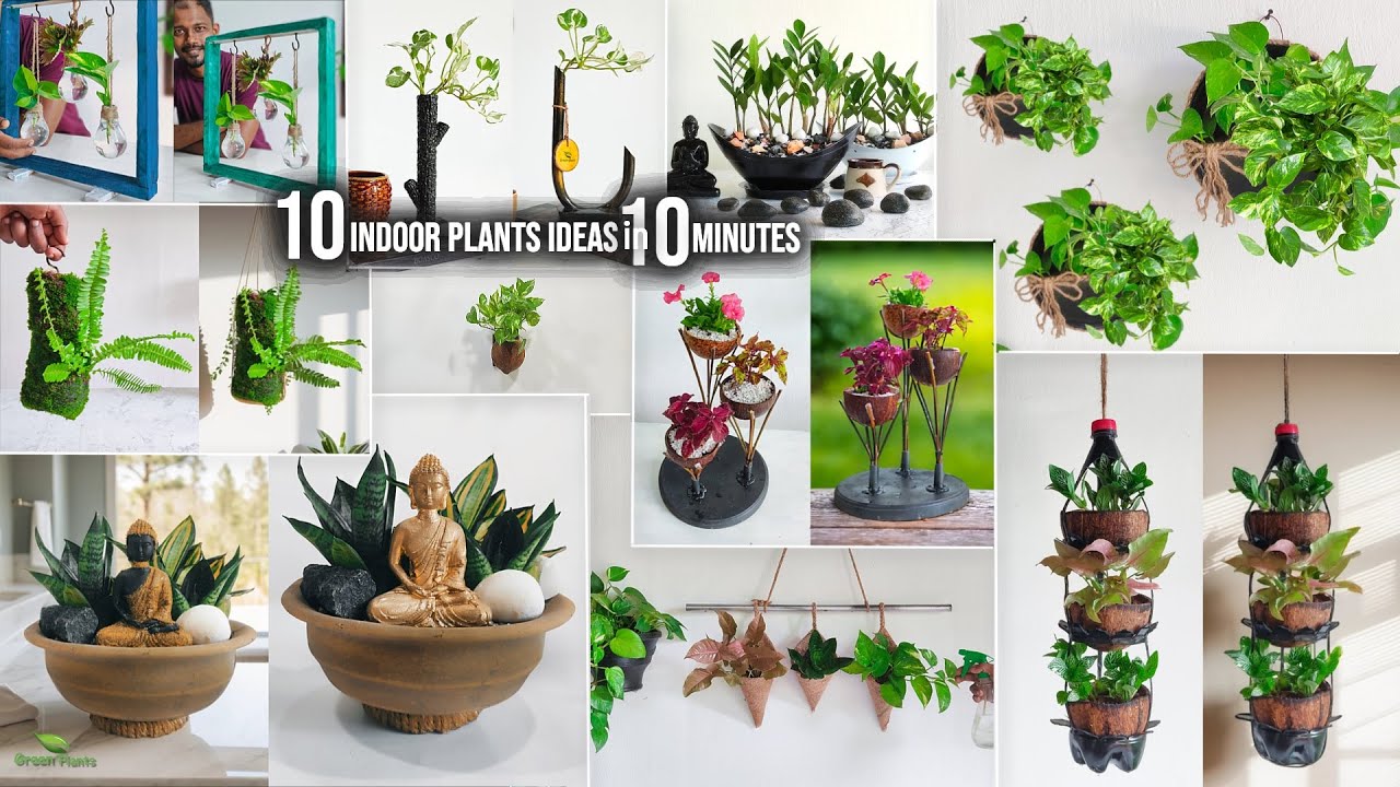 10 Indoor Air-Purifying House Plants Ideas in 10 Minutes That Will Improve Home Décor//GREEN PLANTS