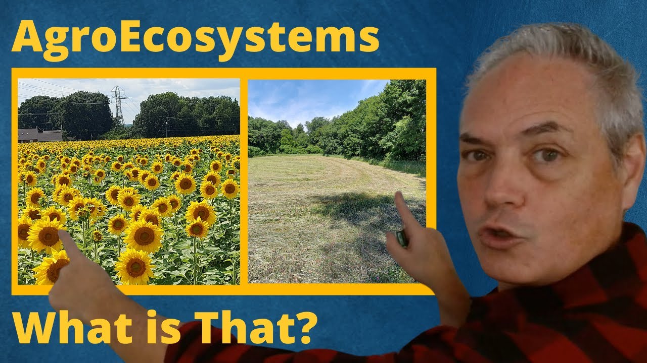 What are AgroEcosystems?  AgroEcosystems vs Natural Ecosystems