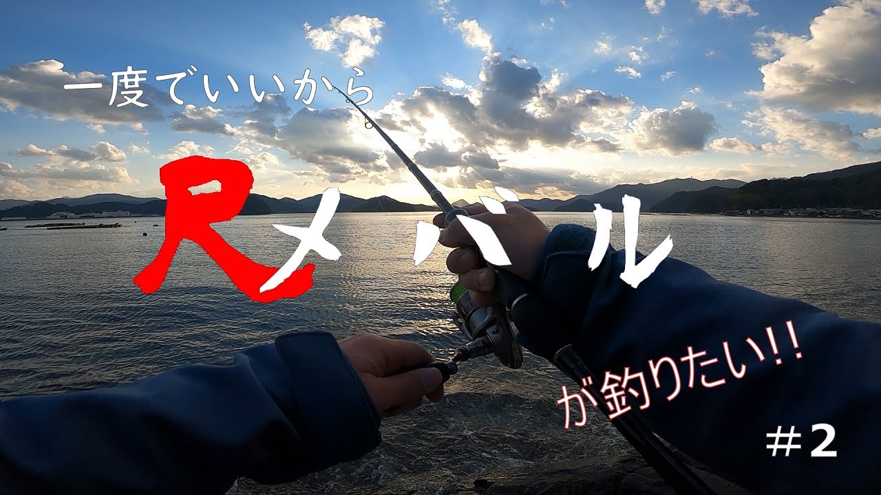【カサゴは爆釣】一度でいいから尺メバルが釣りたい!!#2【メバリング】