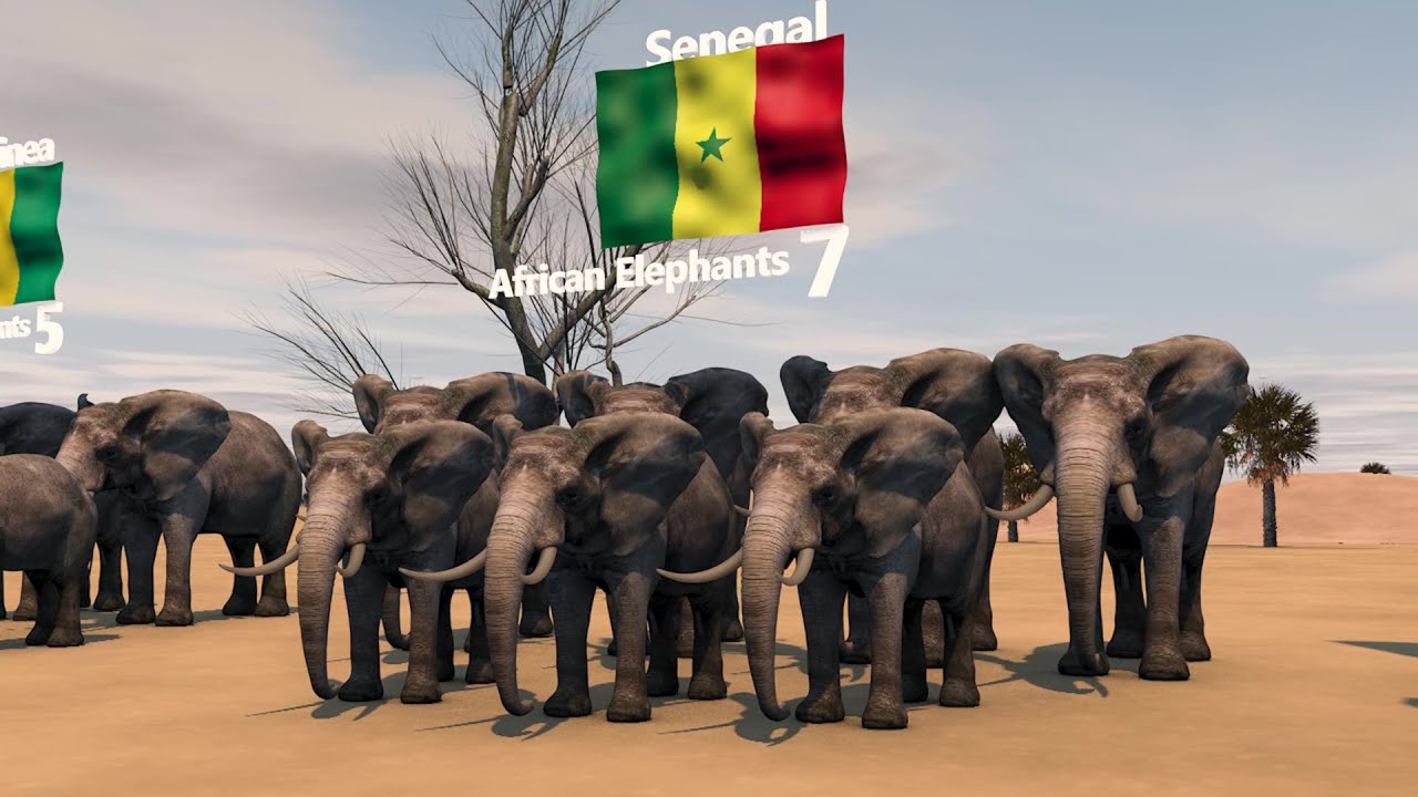 Elephant population by Country 2023, Elephants Population in the World - Country wise