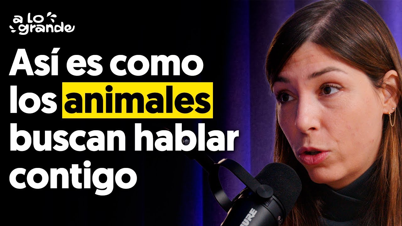 C&oacute;mo Tu Mascota Te Pide Ayuda (Se&ntilde;ales de Salud, Miedos y Mensajes Telep&aacute;ticos que DEBES Conocer)