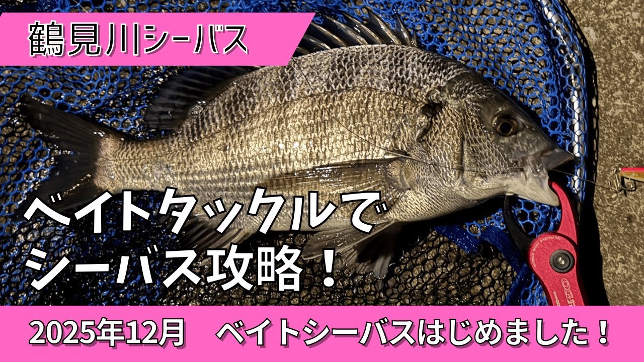鶴見川シーバス 12月 ベイトタックルでシーバス攻略！
