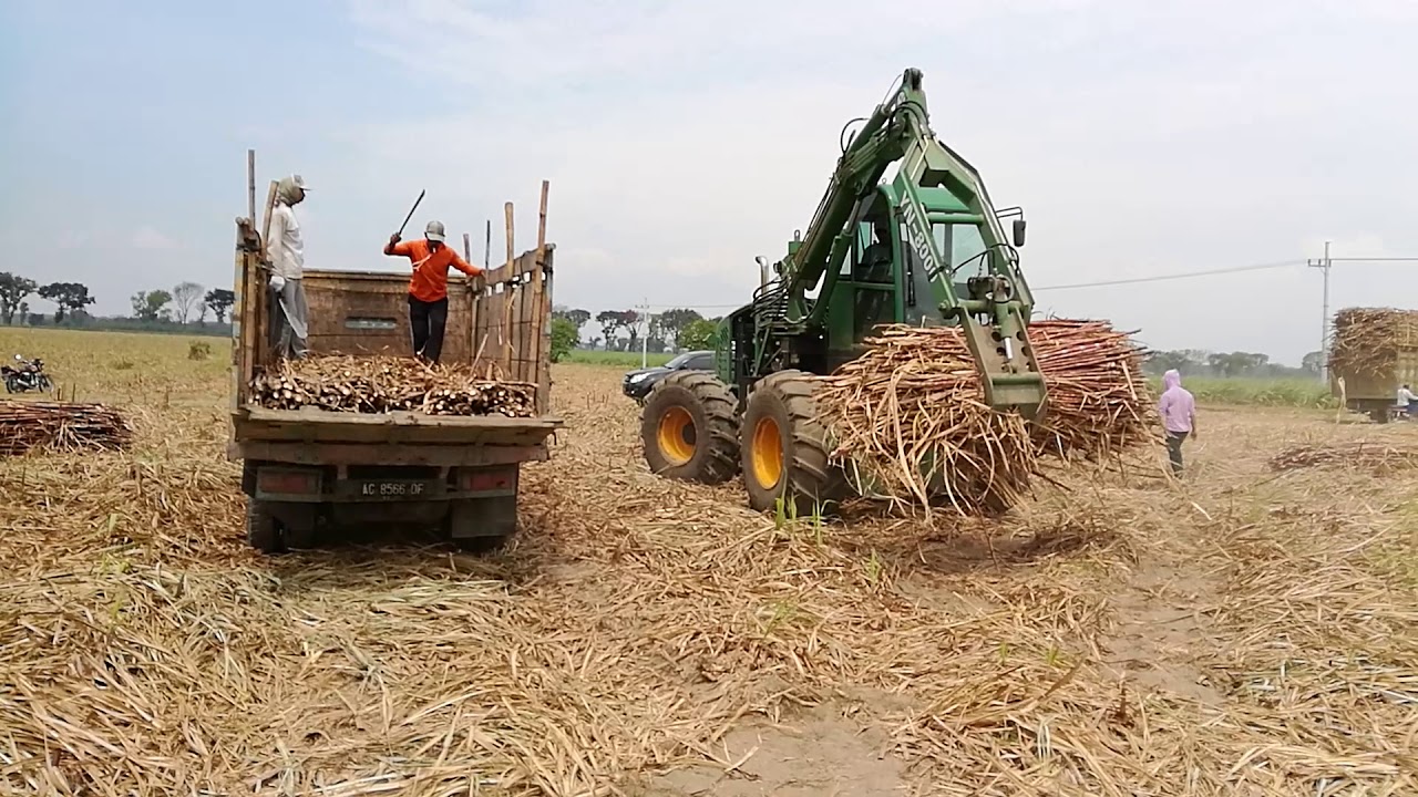Sugarcane harvester grab Loader work video