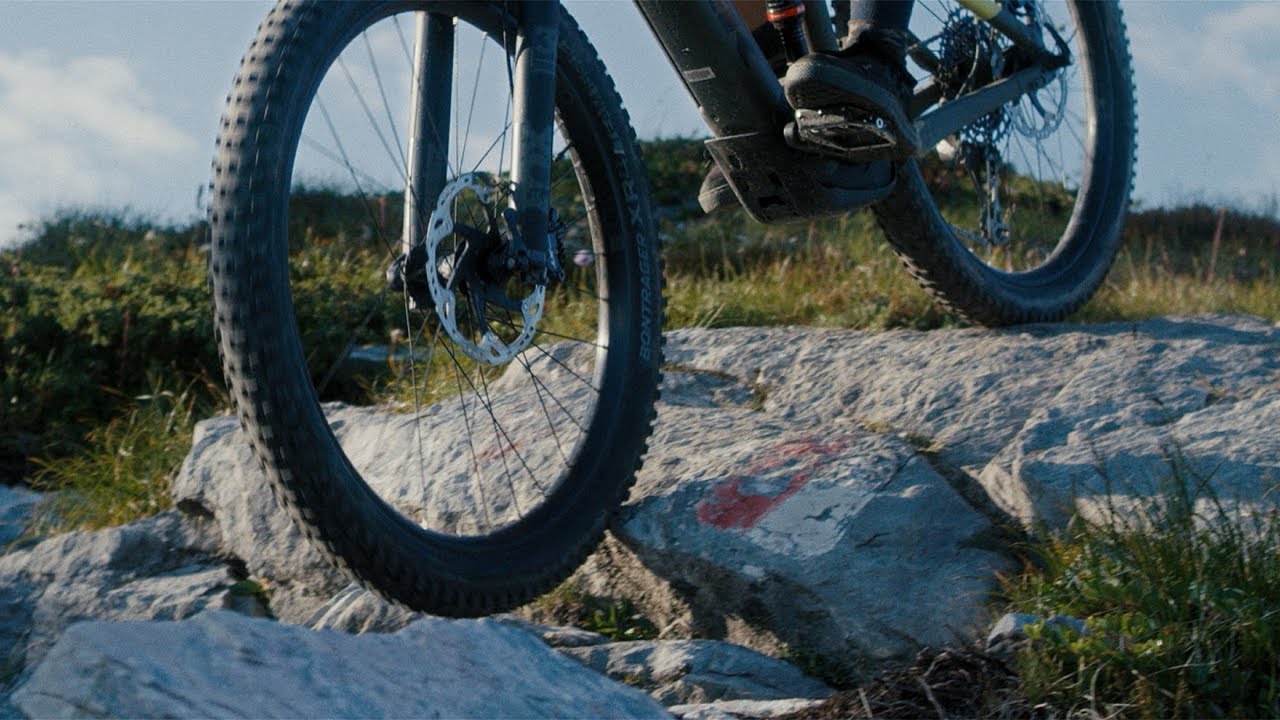 Trek Powerfly