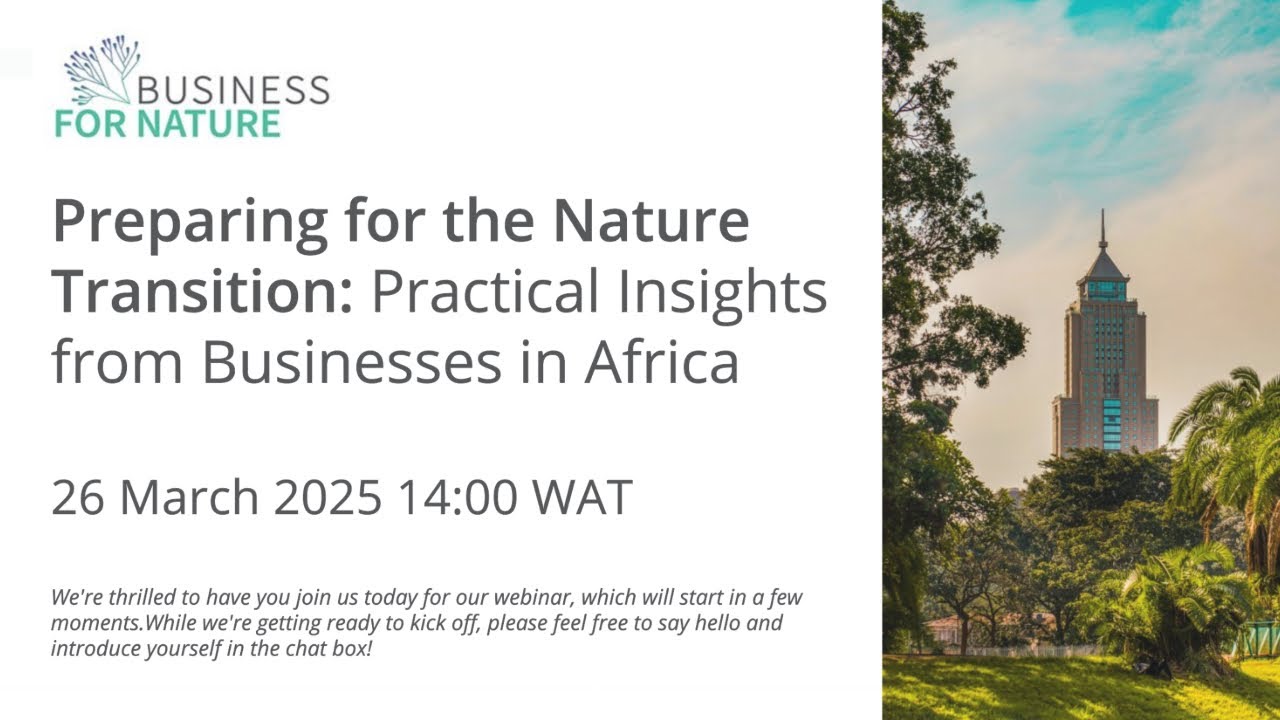 Preparing for the Nature Transition: Practical Insights from Businesses in Africa