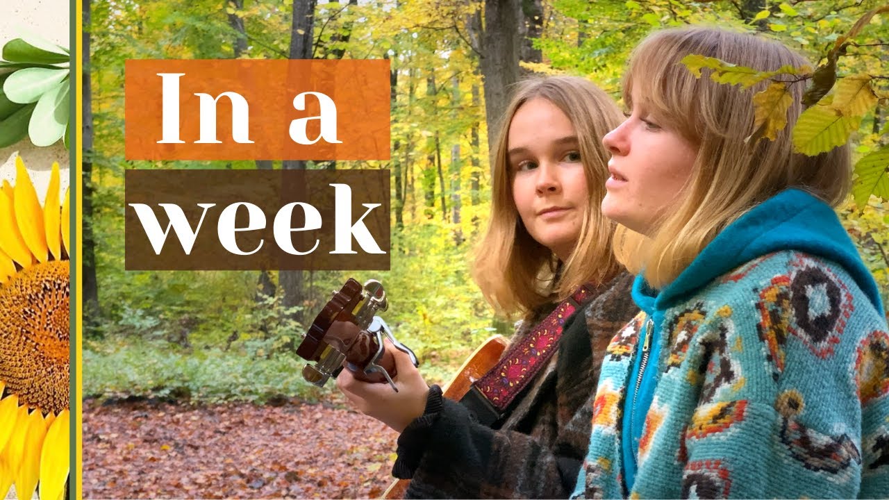 In A Week - Hozier (Cover)