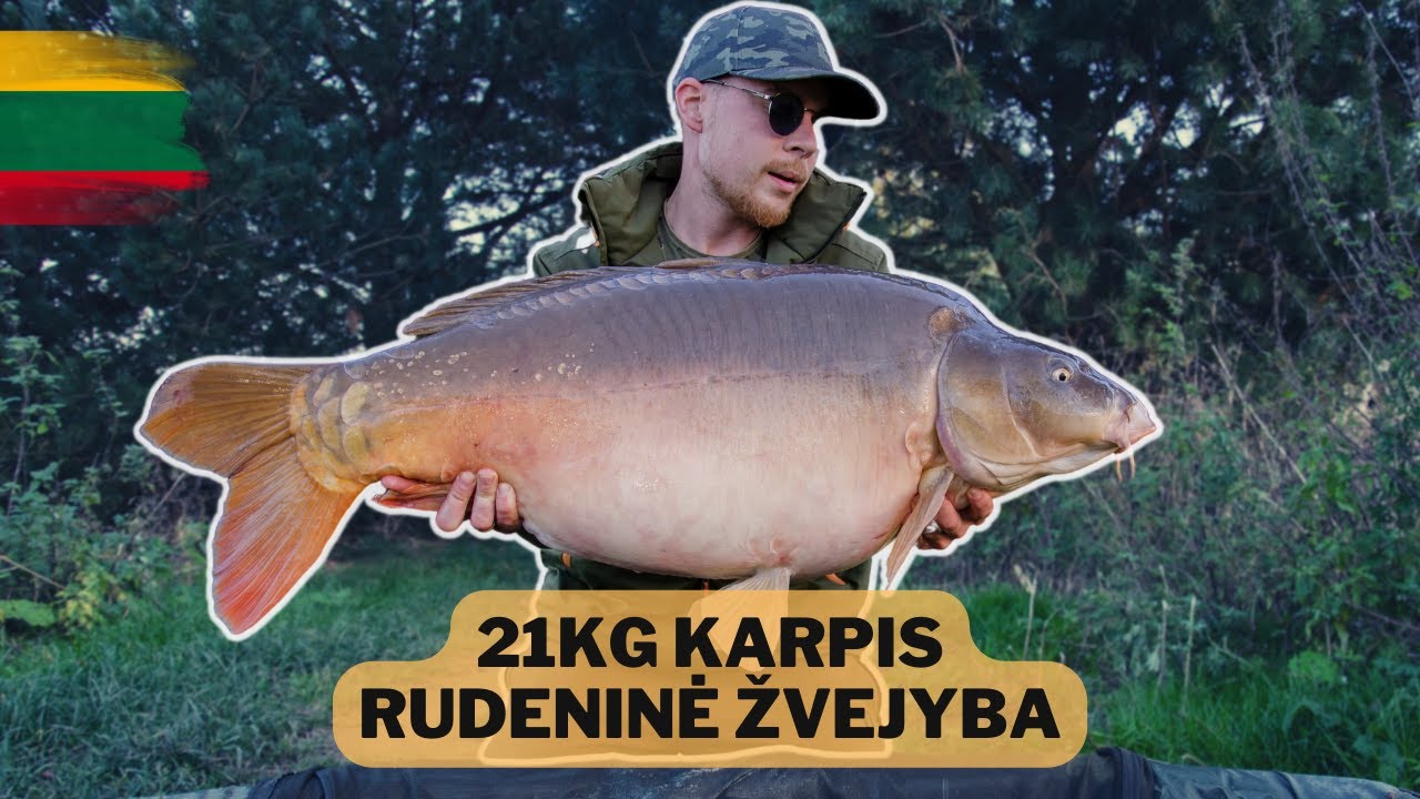 Kaip pagauti didelius karpius Punioje rudenį