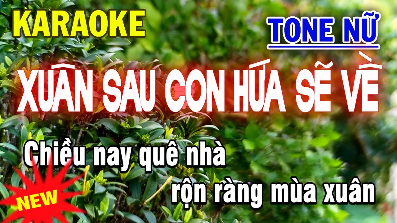 Xuân Sau Con Hứa Sẽ Về Karaoke Tone Nữ - ST Duy Khương