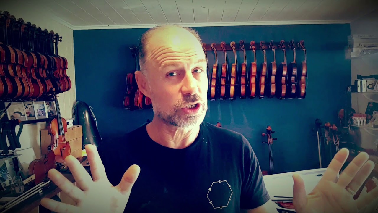 Where to buy your perfect violin, viola, cello or double bass.