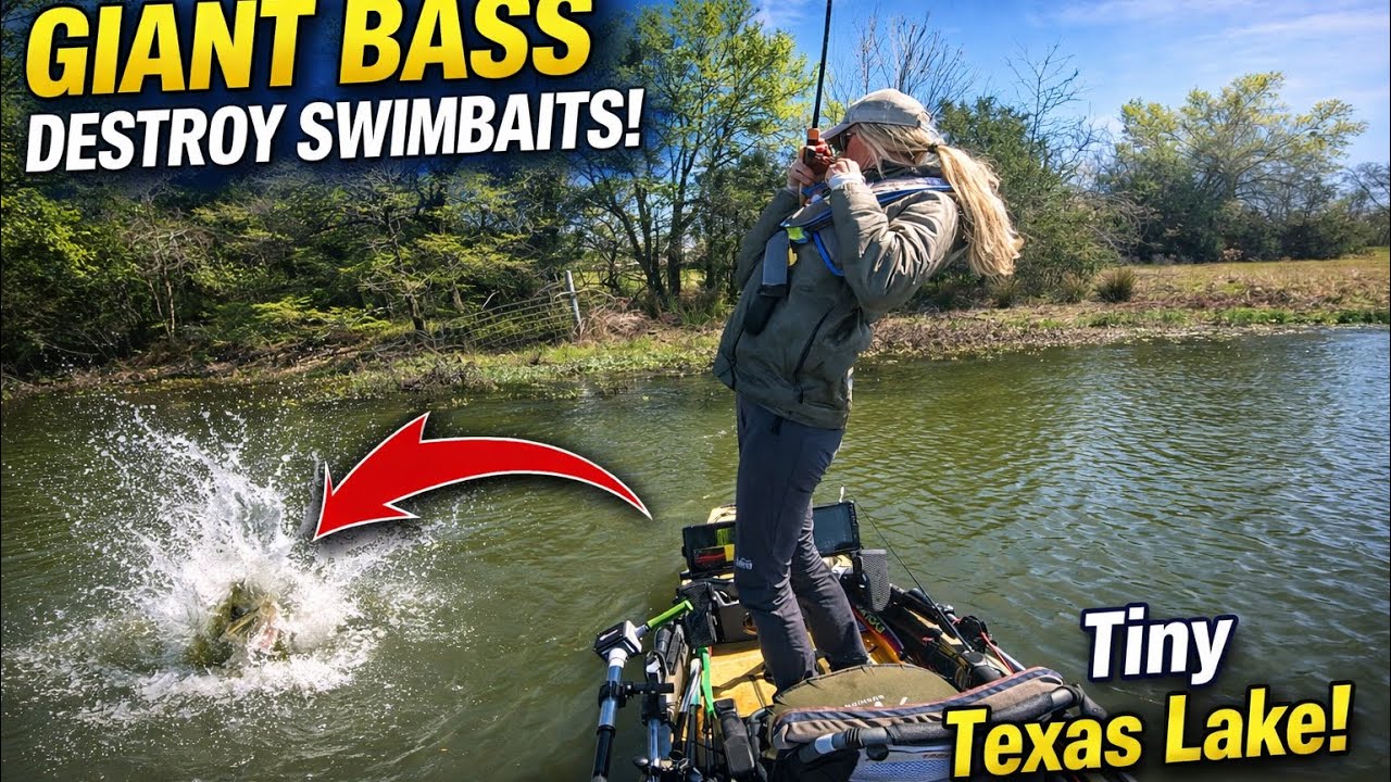 Я обнаружил невероятно хороший клев на приманку типа «свимбейт» на озере Хидден Техас.