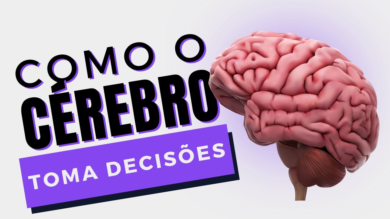Tomada de decis&otilde;es na neuroci&ecirc;ncia