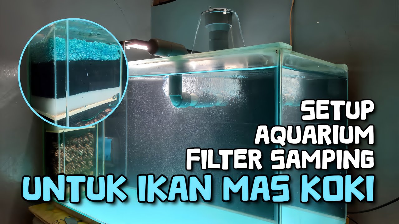 SET-UP Aquarium Filter Samping Untuk Ikan Mas Koki - Mushroom Aquarium Filter Samping || GF0028