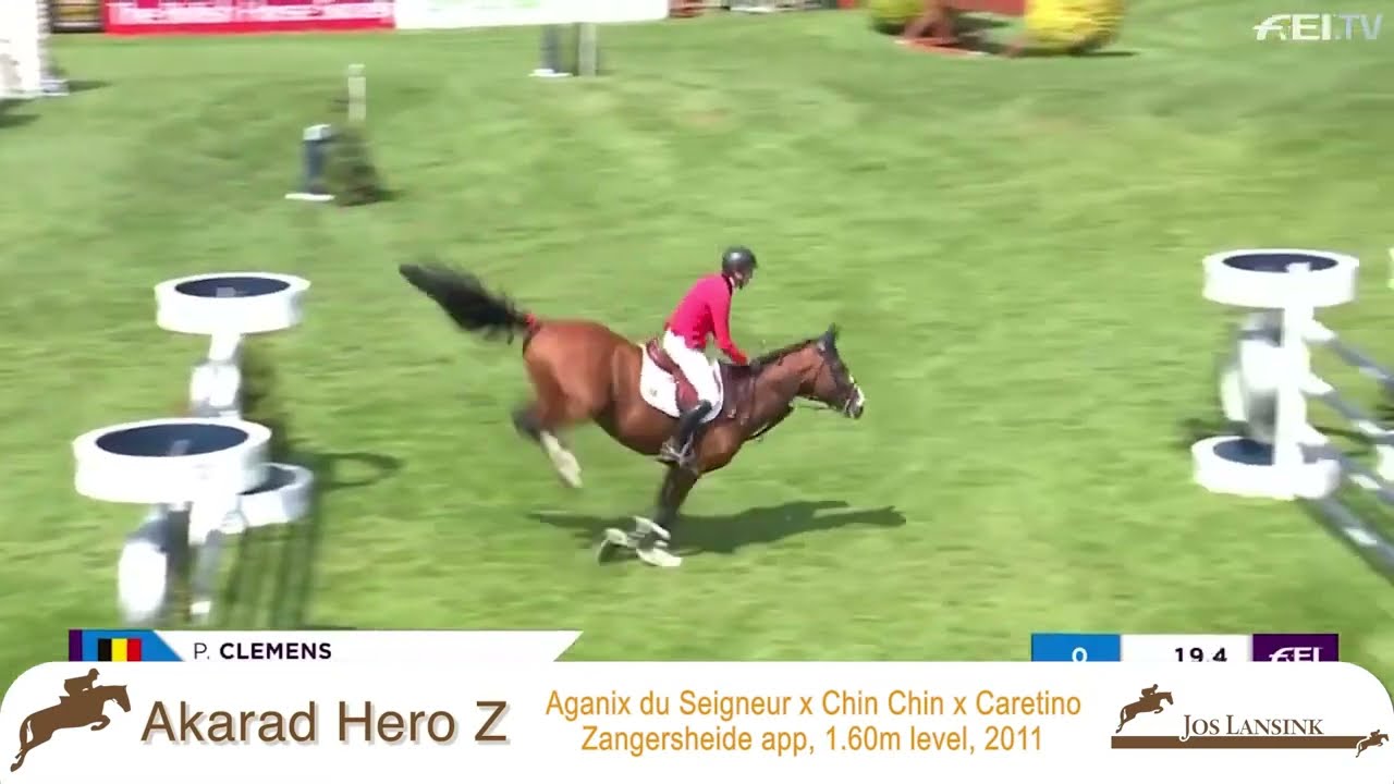 Akarad Hero Z