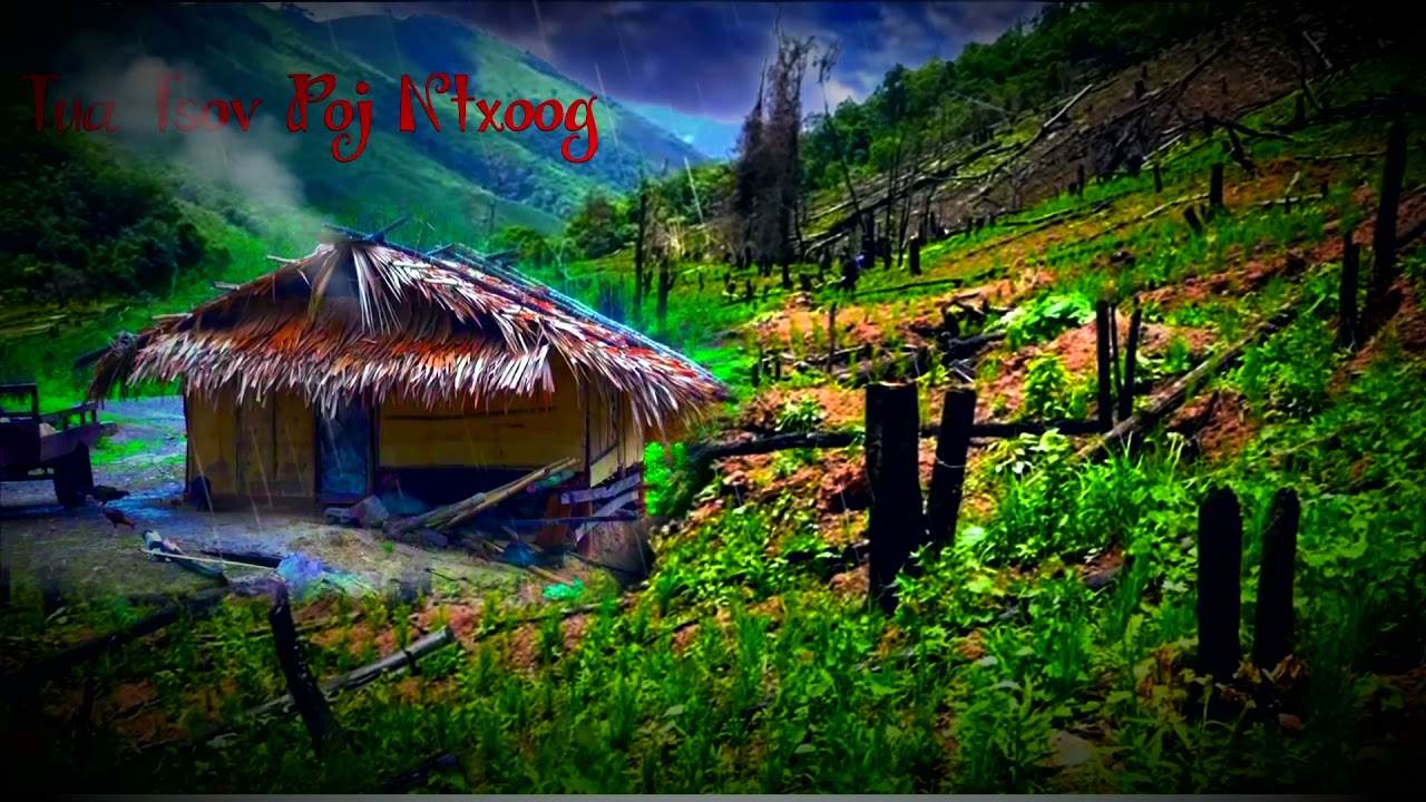 dab neeg TUA TSOV POJ NTXOOG TXAU NTSHAI 10/11/2021