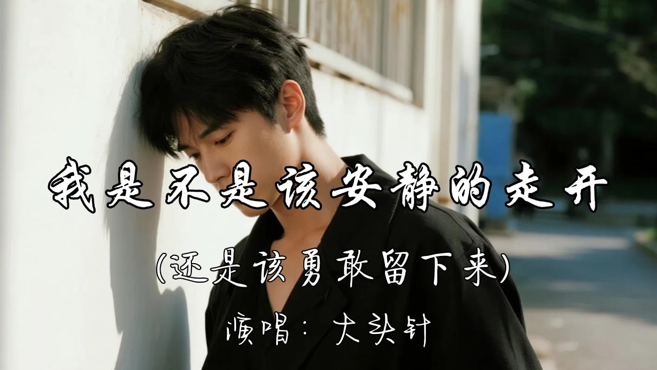 大头针 - 我是不是该安静的走开（还是该勇敢留下来）『我是不是该安静的走开 还是该勇敢留下来。』『动态歌词MV』#翻唱 #伤感音乐 #推荐好听的歌曲