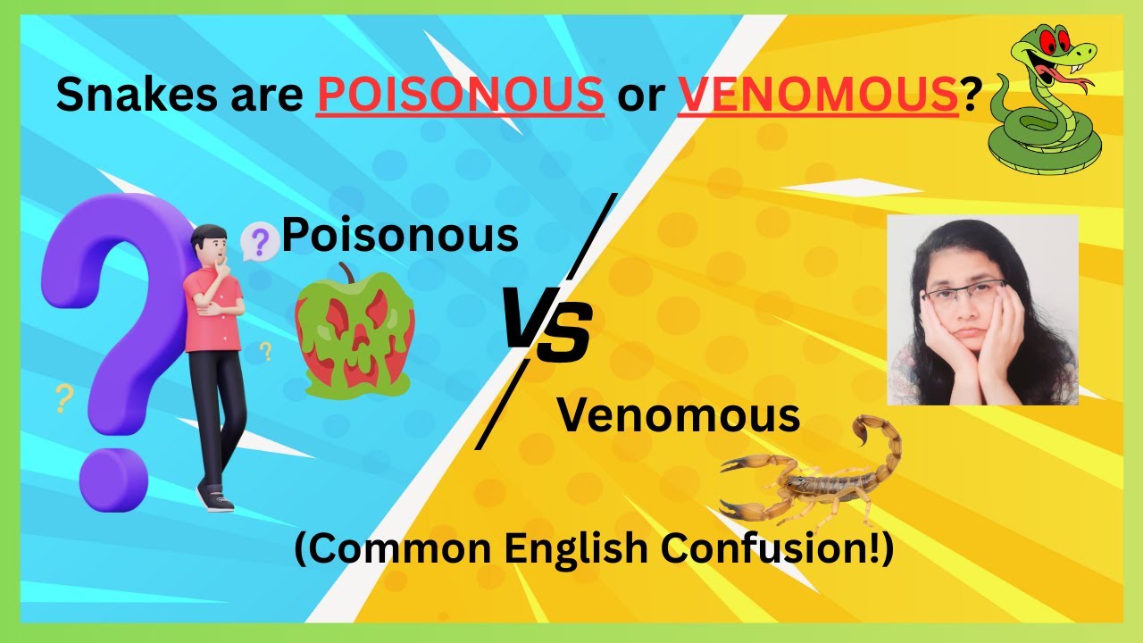 Poisonous vs Venomous:Don’t Make This Common English Mistake!#english #learnenglish #commonmistakes