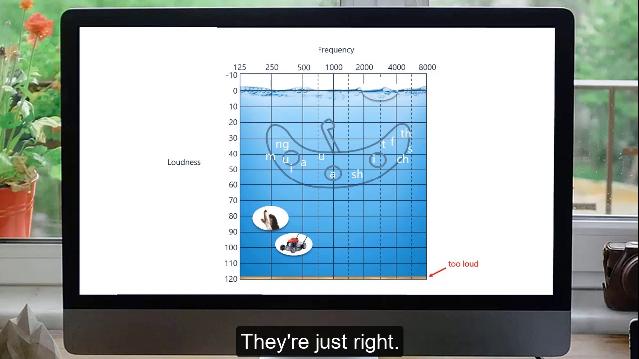 The First Audiogram - Mild (Captioned)