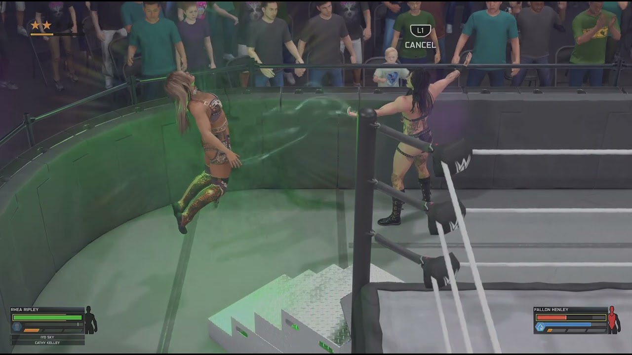 RheA RipLey vs FaLLon HenLey , LaDDeR match  !!!