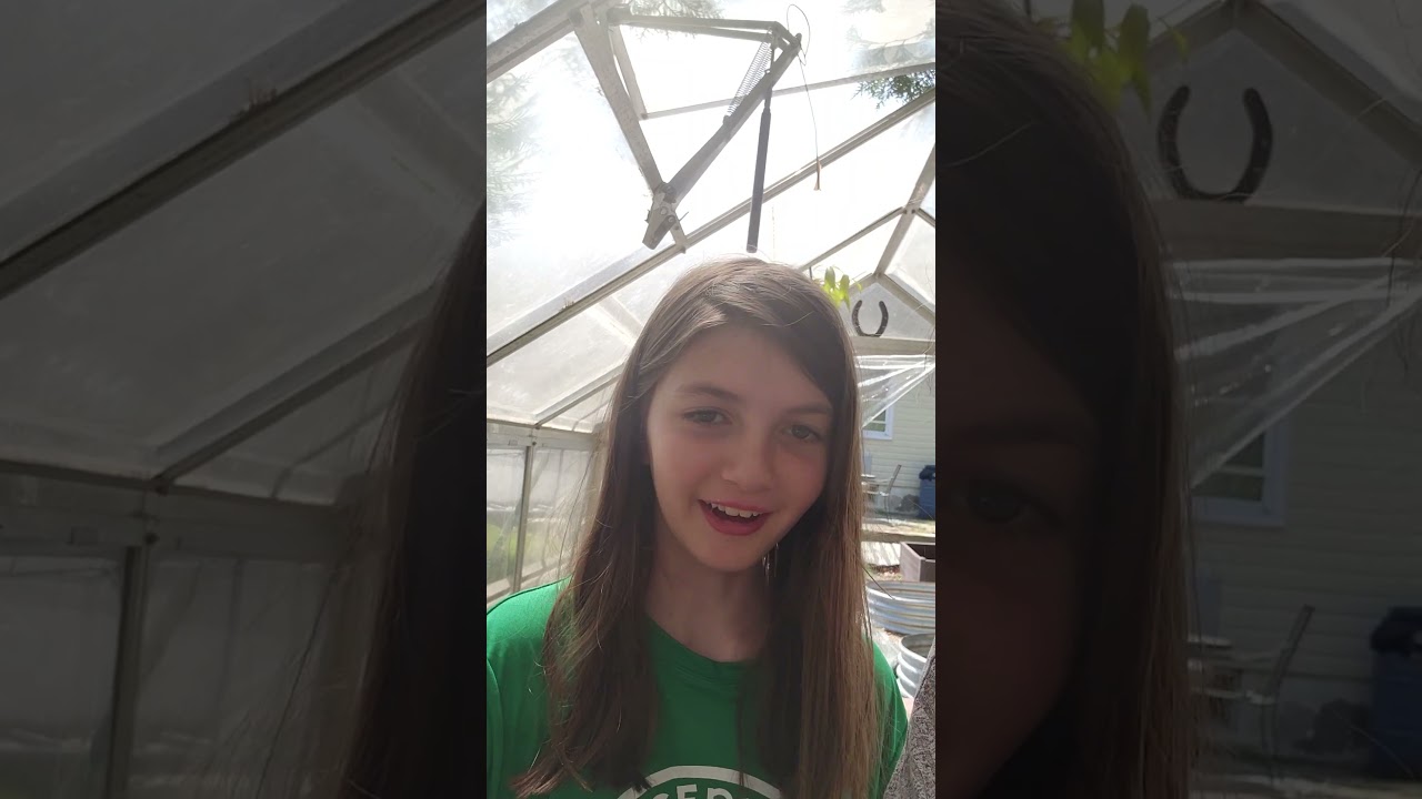 Greenhouse chats: be like Boris