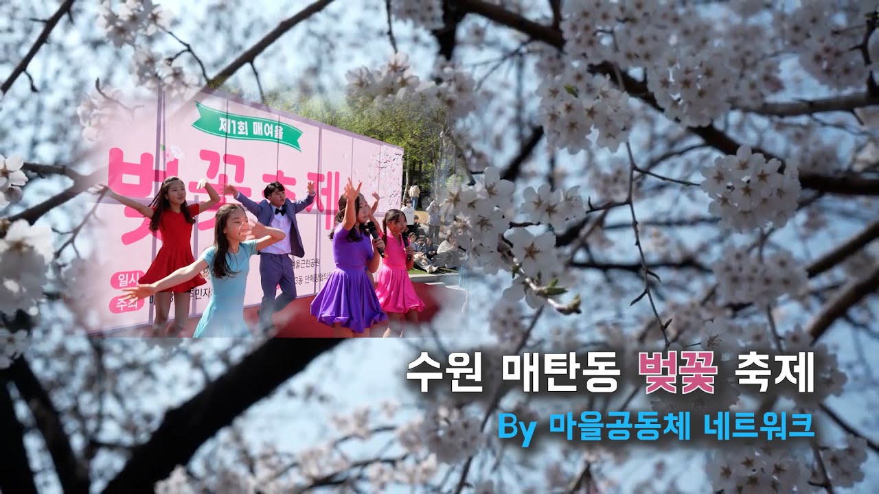 2023 매탄3동 벚꽃축제_그 느낌 아니까~_ 마을N#매탄동 #마을축제 #벗꽃축제 #우리동네 사람들