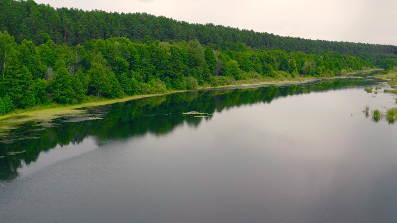 Очень красивая природа Окский басейн в 4К