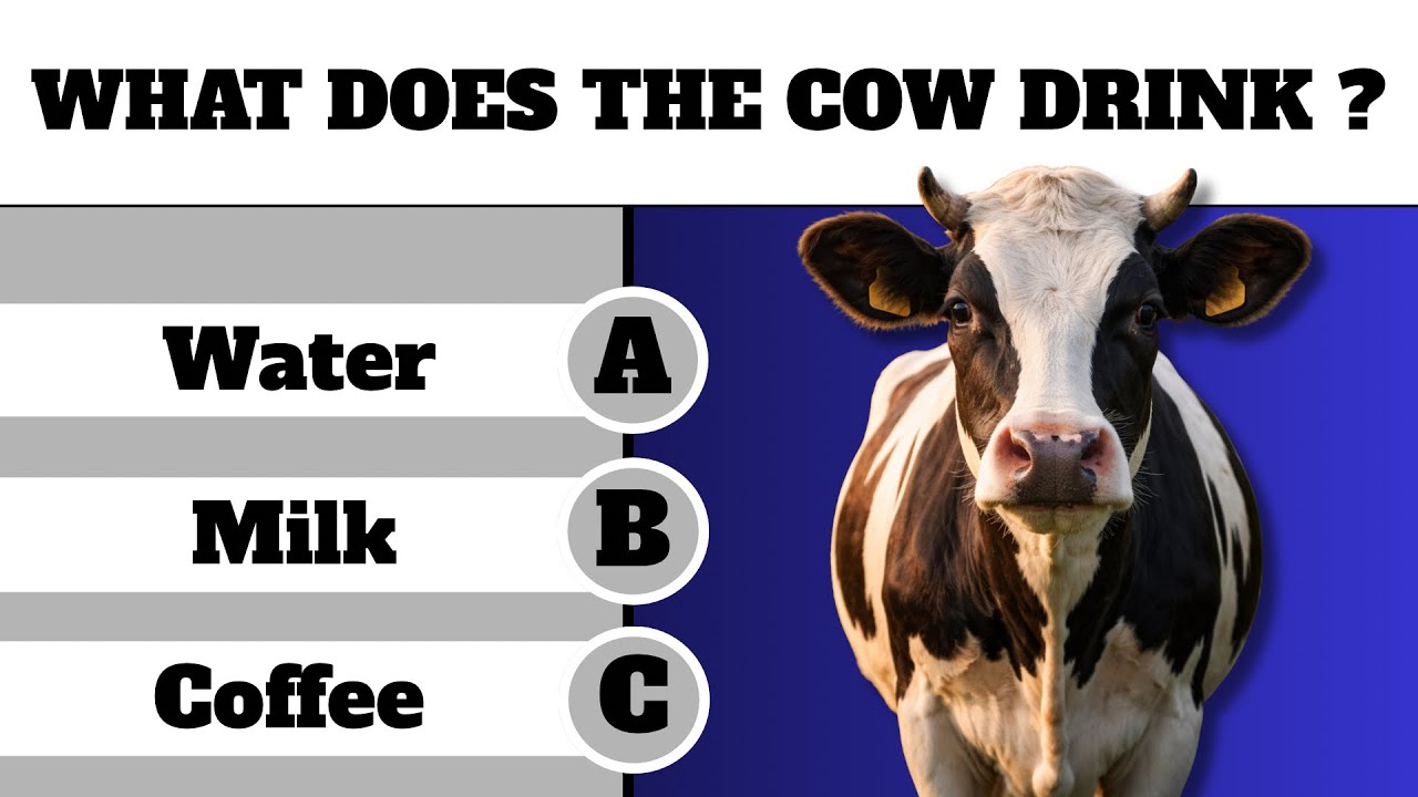 Are you smarter than an 8-year-old ? 🧸🧠General knowledge quiz