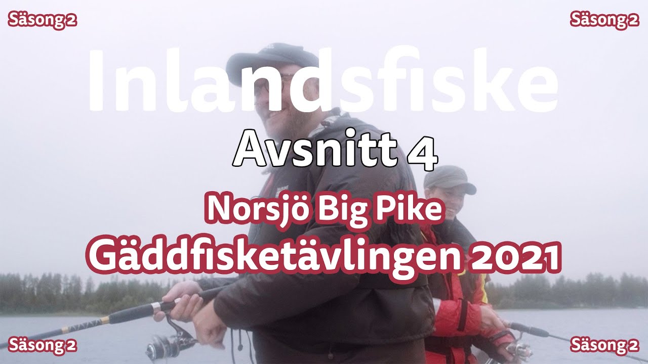 Inlandsfiske | Säsong 2 | Norsjö Big Pike 2021 | Avsnitt 4