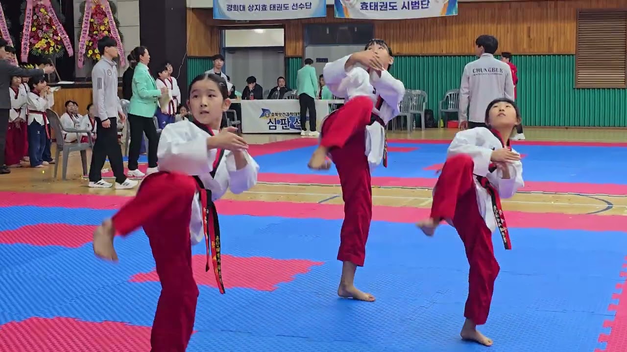 2025년 11월 8일/단체전/이진아 유예나 안도휘/ 태극3장/ 고려품새/우승/제5회 충북보건과학대학교 총장배 전국생활체육태권도대회/용인대석사태권짐/세종시/아름동태권도/아름동품새단