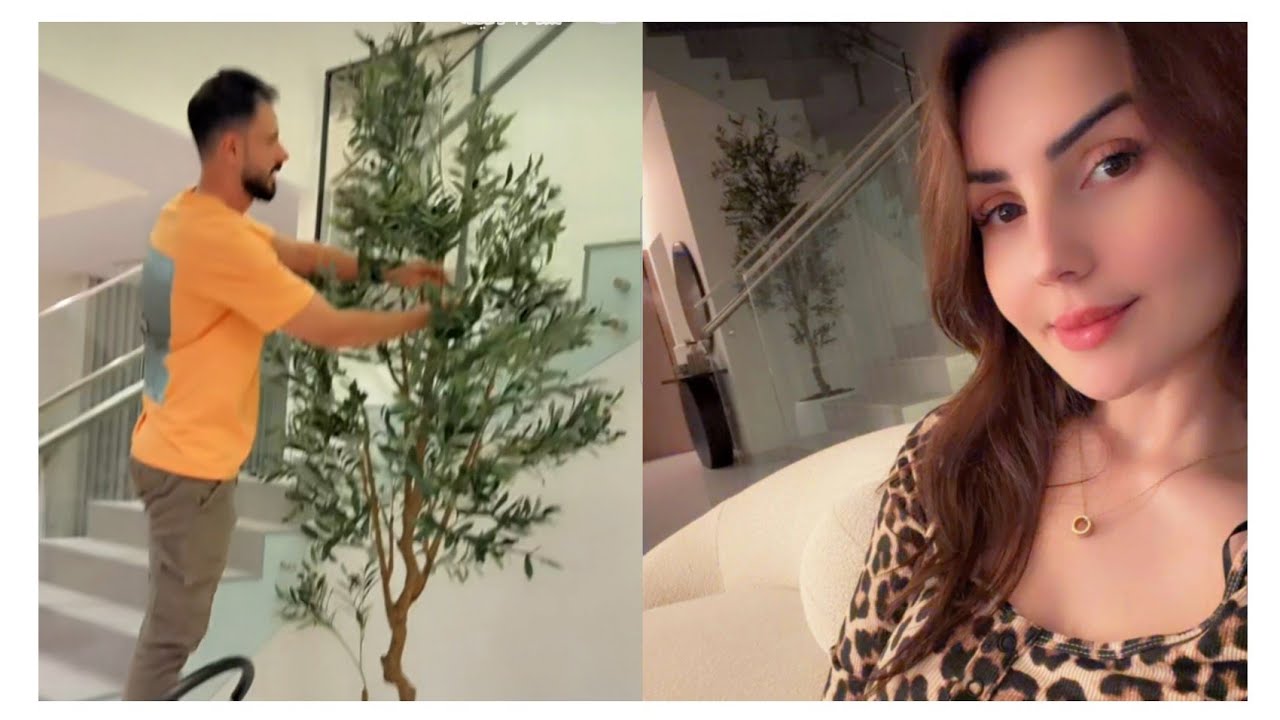 نور وعصام 🥰 واخيرا اشترينا زرع شجرة زيتون بصالون يسلام سلم 