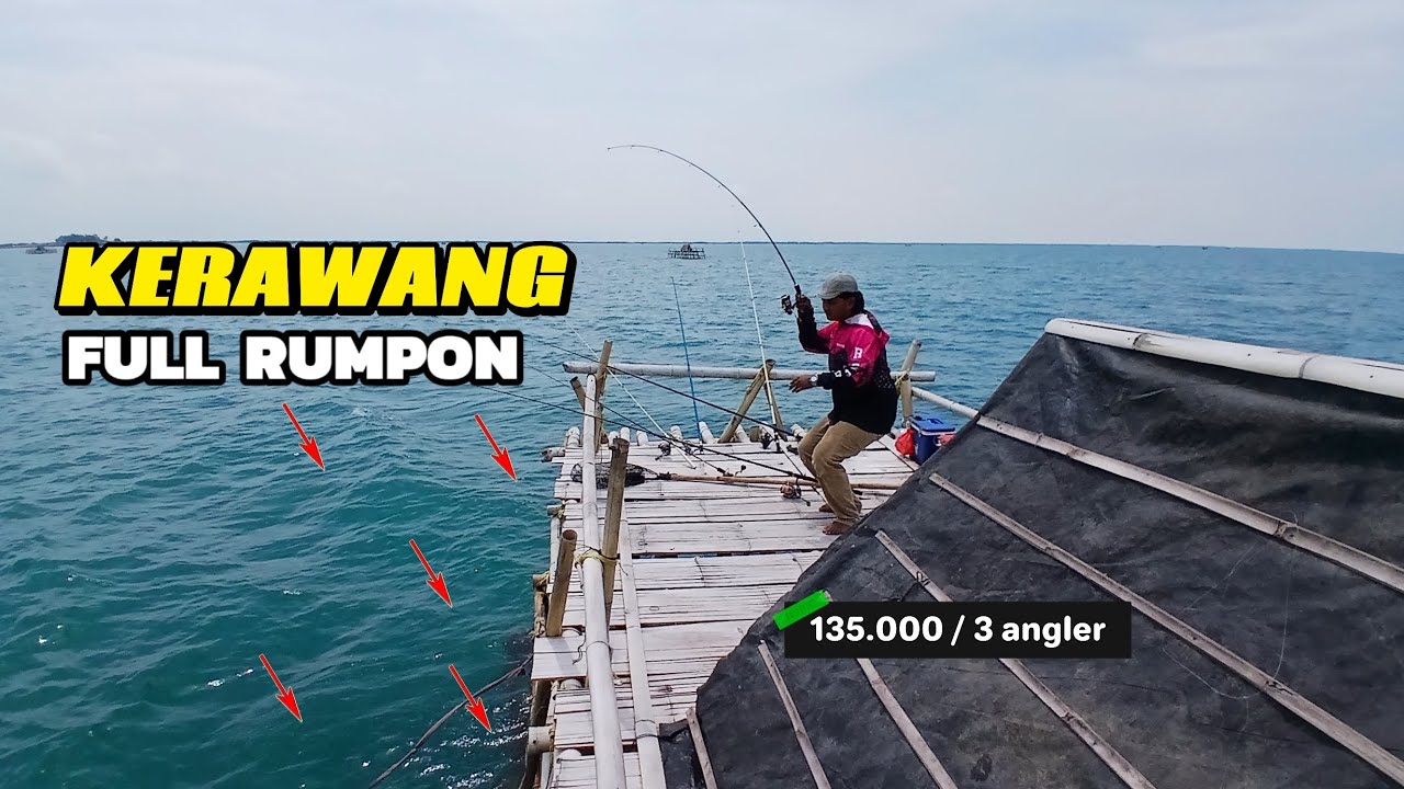 kutu kupret🤩... tau gini gak saya ajak mancing di bagan || bagan tengah pulo cangkir