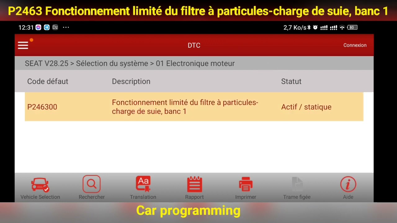 DTC P2463 Fonctionnement limit&eacute; du filtre &agrave; particules -charge de suie, banc 1 Audi VW Seat Skoda